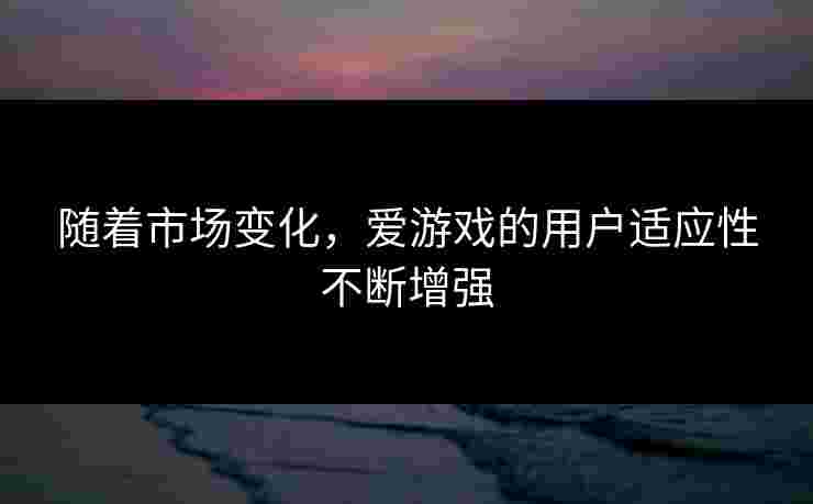 随着市场变化，爱游戏的用户适应性不断增强